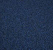 Ruscarpettiles Parma 37 фото 2 | FLOORDEALER